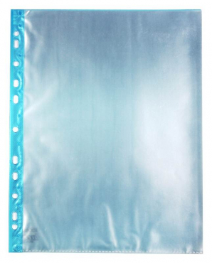 EXXO by HFP Sichtbuch / Sichthüllenmappe, A4, aus PP, mit 24 fest eingeschweißten und oben offenen Klarsichthüllen, mit blauer Abheftleiste in EURO-Lochung, Farbe: transparent – 1 Stück