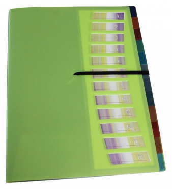 EXXO by HFP Registermappe / Ordnungsmappe / Sammelmappe, A4, aus PP, mit 12 farbig-transparenten Taben, Gummizug, mit Einschubfächern und Ausstanzungen zur Befestigung, Farbe: limone – 1 Stück