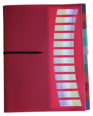 EXXO by HFP Registermappe / Ordnungsmappe / Sammelmappe, A4, aus PP, mit 12 farbig-transparenten Taben, Gummizug, mit Einschubfächern und Ausstanzungen zur Befestigung, Farbe: rot – 1 Stück