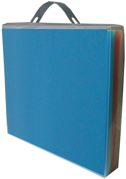 EXXO by HFP Sichthüllen / Aktenhüllen / Dokumentenhüllen A4, 180my, aus PP, mit Daumenaussparung, oben und seitlich offen, Farbe: transparent farbig sortiert - 100 Stück